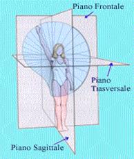 Piani anatomici